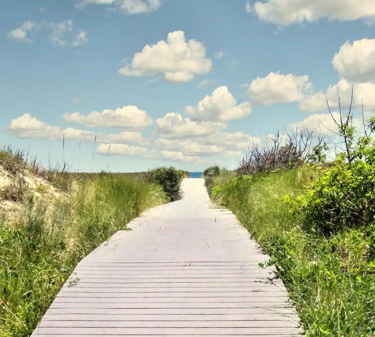 Natural Beauty A Virginia Beach Semesterbostad
